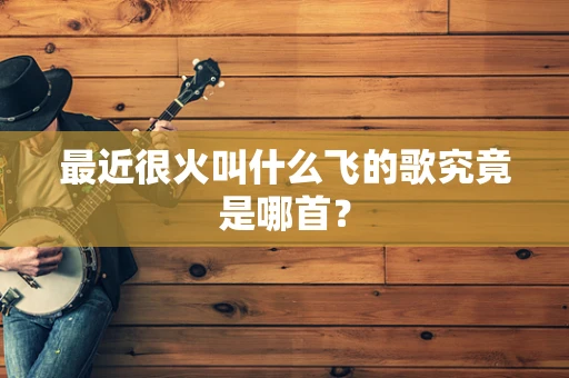 最近很火叫什么飞的歌究竟是哪首？
