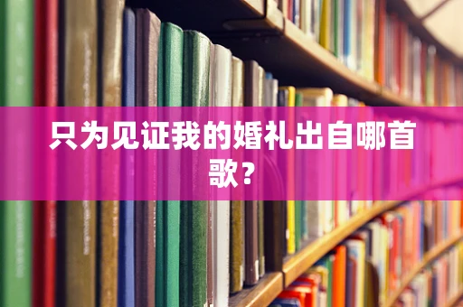 只为见证我的婚礼出自哪首歌？