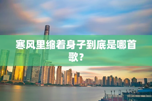 寒风里缩着身子到底是哪首歌？