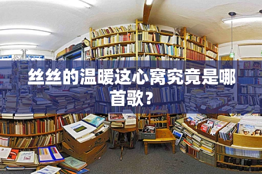丝丝的温暖这心窝究竟是哪首歌？
