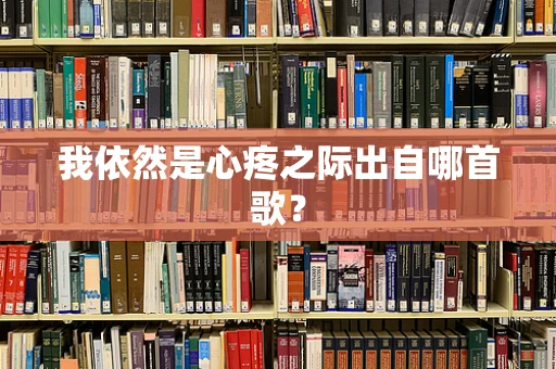我依然是心疼之际出自哪首歌？