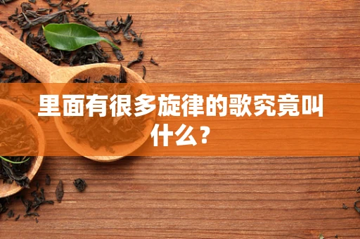 里面有很多旋律的歌究竟叫什么？