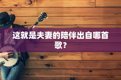 这就是夫妻的陪伴出自哪首歌？