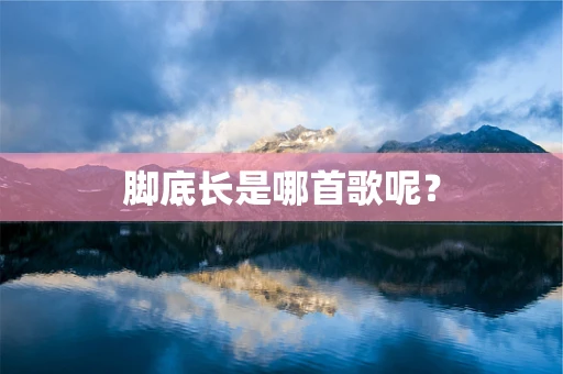 脚底长是哪首歌呢？