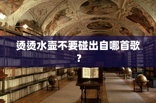 烫烫水壶不要碰出自哪首歌？
