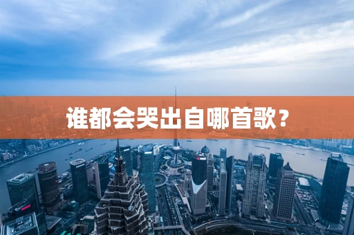 谁都会哭出自哪首歌？