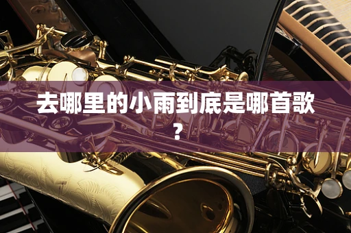 去哪里的小雨到底是哪首歌？