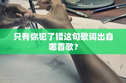 只有你犯了错这句歌词出自哪首歌？