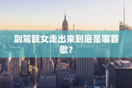 副驾靓女走出来到底是哪首歌？