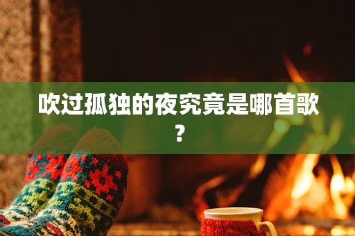 吹过孤独的夜究竟是哪首歌？