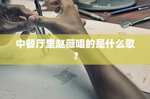 中餐厅里赵薇唱的是什么歌？