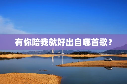 有你陪我就好出自哪首歌？