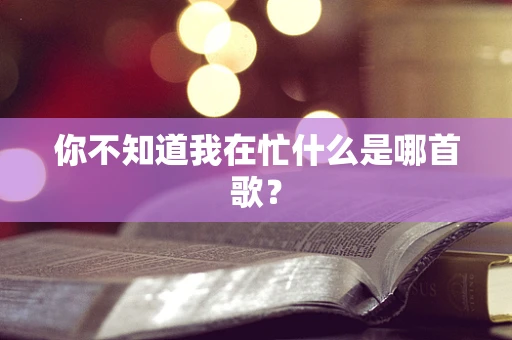 你不知道我在忙什么是哪首歌？