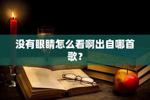 没有眼睛怎么看啊出自哪首歌？