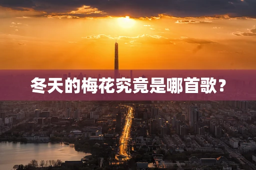 冬天的梅花究竟是哪首歌？