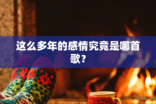 这么多年的感情究竟是哪首歌？
