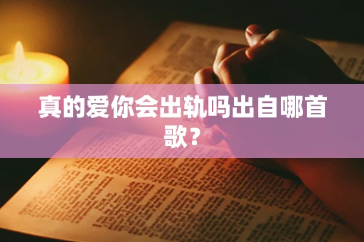 真的爱你会出轨吗出自哪首歌？