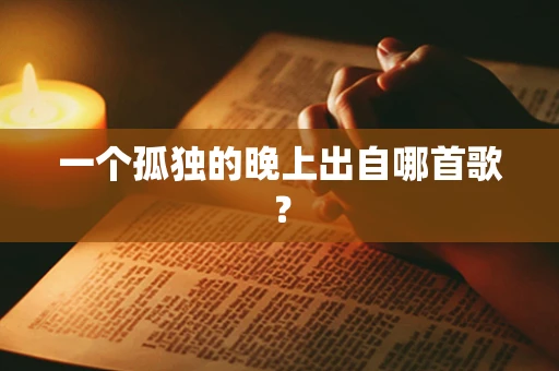 一个孤独的晚上出自哪首歌？