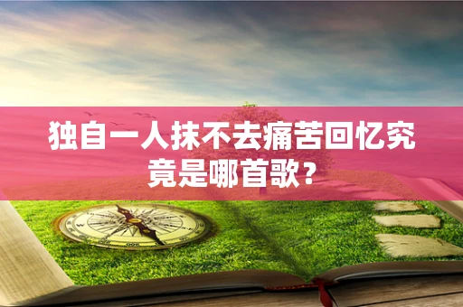 独自一人抹不去痛苦回忆究竟是哪首歌？