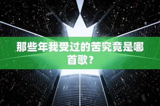 那些年我受过的苦究竟是哪首歌？