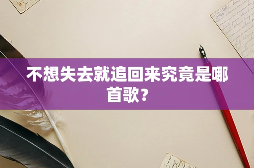 不想失去就追回来究竟是哪首歌？