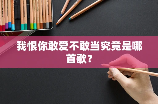 我恨你敢爱不敢当究竟是哪首歌？