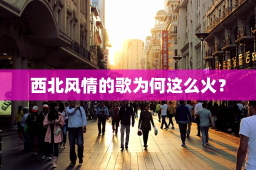 西北风情的歌为何这么火？