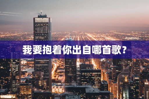 我要抱着你出自哪首歌？