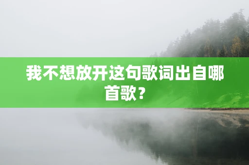 我不想放开这句歌词出自哪首歌？