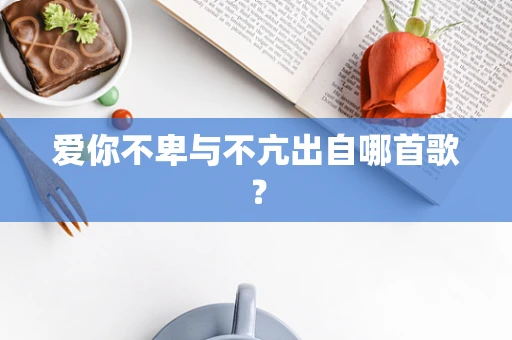 爱你不卑与不亢出自哪首歌？