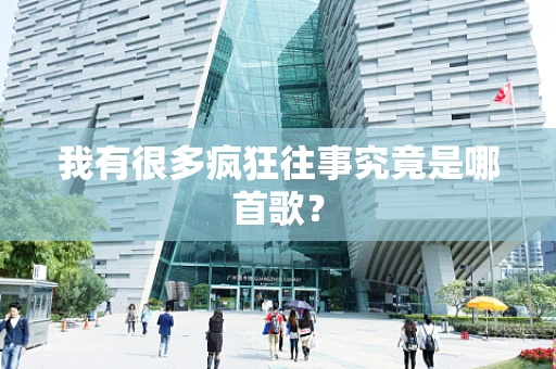 我有很多疯狂往事究竟是哪首歌？