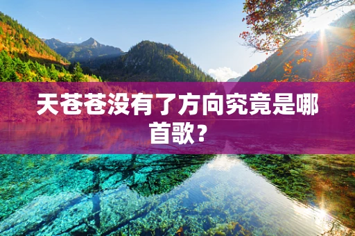 天苍苍没有了方向究竟是哪首歌？