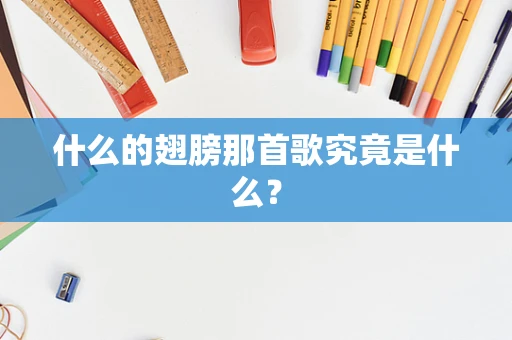 什么的翅膀那首歌究竟是什么？