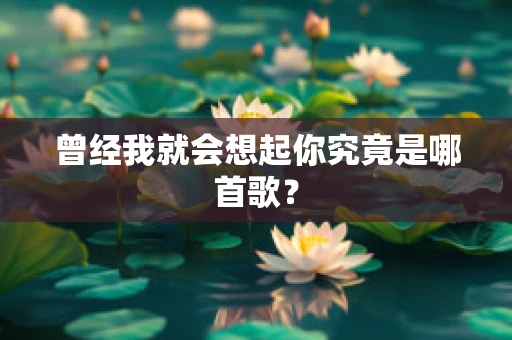 曾经我就会想起你究竟是哪首歌？
