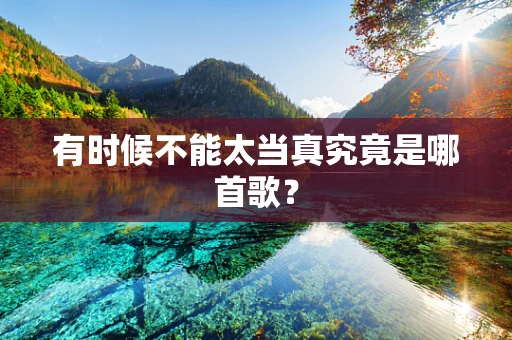 有时候不能太当真究竟是哪首歌？