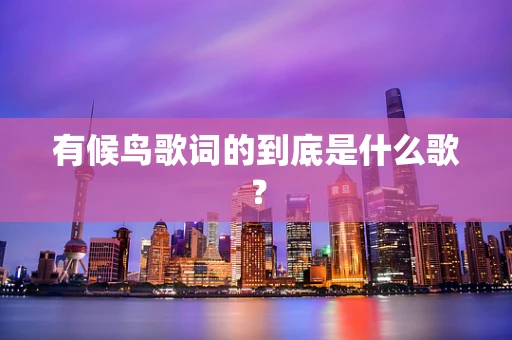 有候鸟歌词的到底是什么歌？