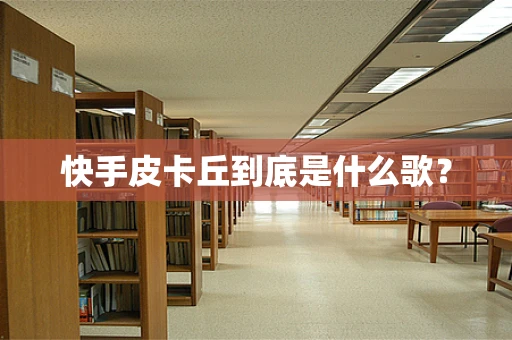 快手皮卡丘到底是什么歌？