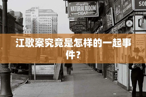 江歌案究竟是怎样的一起事件？