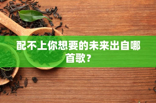 配不上你想要的未来出自哪首歌？