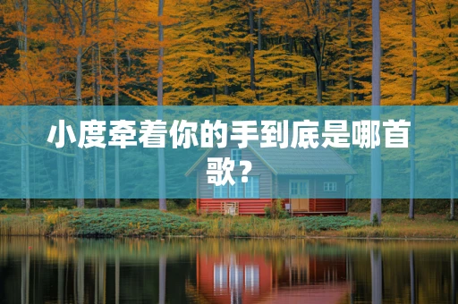 小度牵着你的手到底是哪首歌？