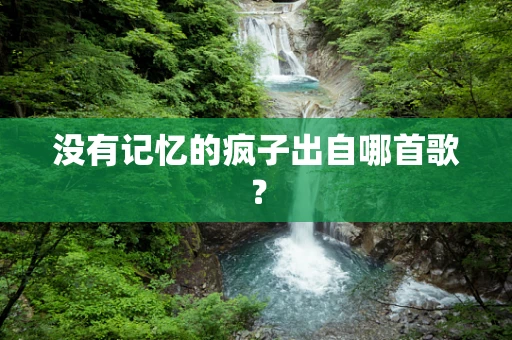 没有记忆的疯子出自哪首歌？