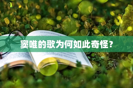 窦唯的歌为何如此奇怪？