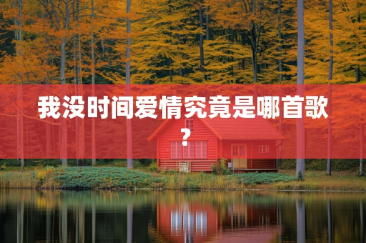 我没时间爱情究竟是哪首歌？