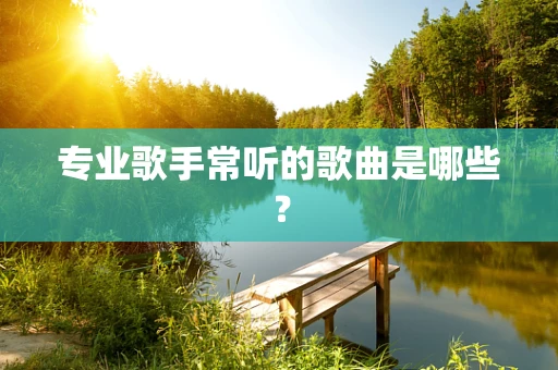 专业歌手常听的歌曲是哪些？