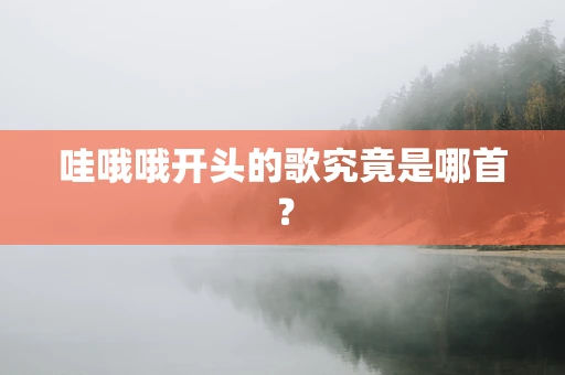 哇哦哦开头的歌究竟是哪首？