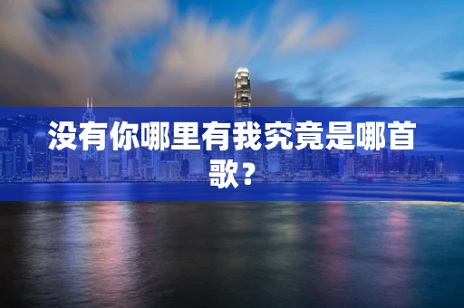没有你哪里有我究竟是哪首歌？