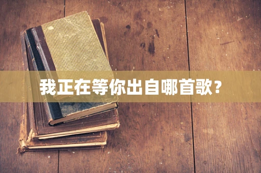 我正在等你出自哪首歌？