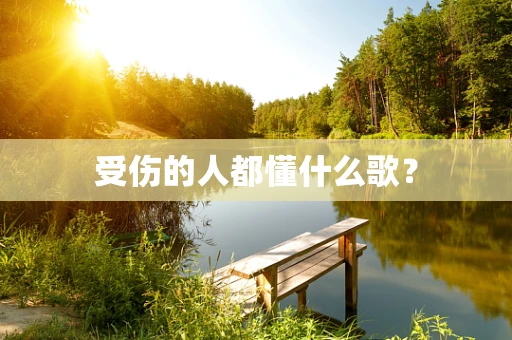受伤的人都懂什么歌？
