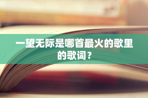 一望无际是哪首最火的歌里的歌词？