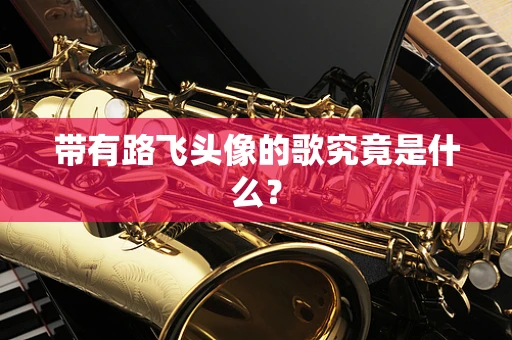 带有路飞头像的歌究竟是什么？